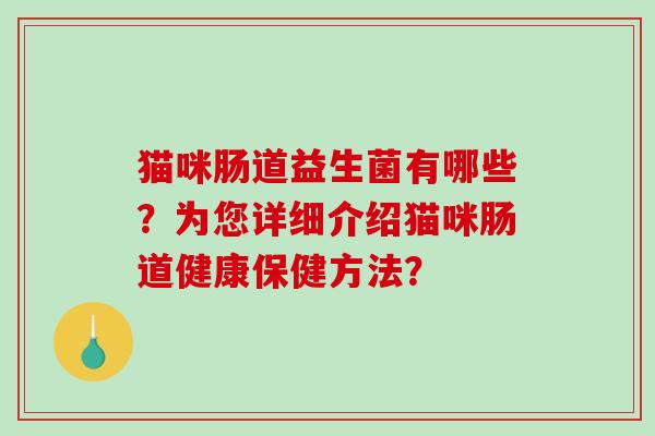 猫咪肠道益生菌有哪些？为您详细介绍猫咪肠道健康保健方法？