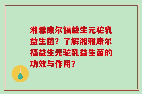 湘雅康尔福益生元驼乳益生菌？了解湘雅康尔福益生元驼乳益生菌的功效与作用？