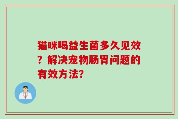 猫咪喝益生菌多久见效？解决宠物肠胃问题的有效方法？