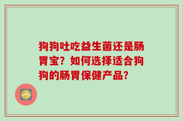 狗狗吐吃益生菌还是肠胃宝？如何选择适合狗狗的肠胃保健产品？