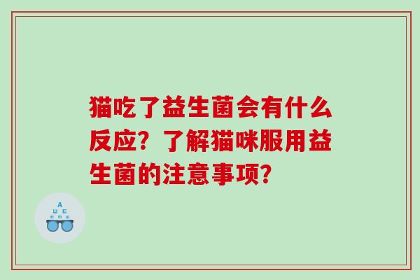 猫吃了益生菌会有什么反应？了解猫咪服用益生菌的注意事项？