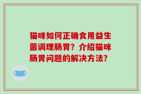 猫咪如何正确食用益生菌调理肠胃？介绍猫咪肠胃问题的解决方法？