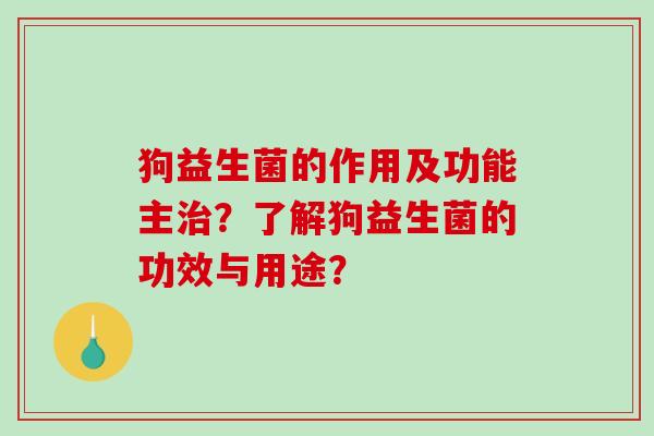 狗益生菌的作用及功能主治？了解狗益生菌的功效与用途？