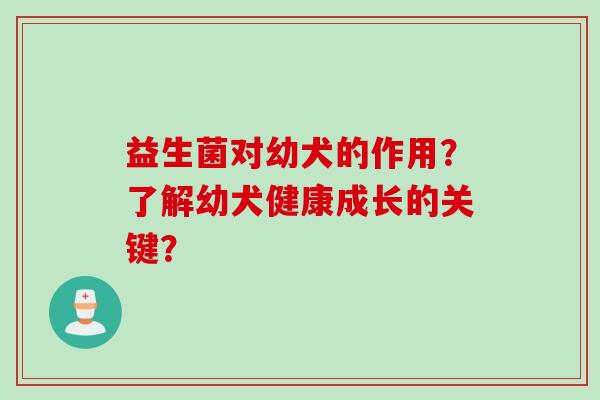 益生菌对幼犬的作用？了解幼犬健康成长的关键？
