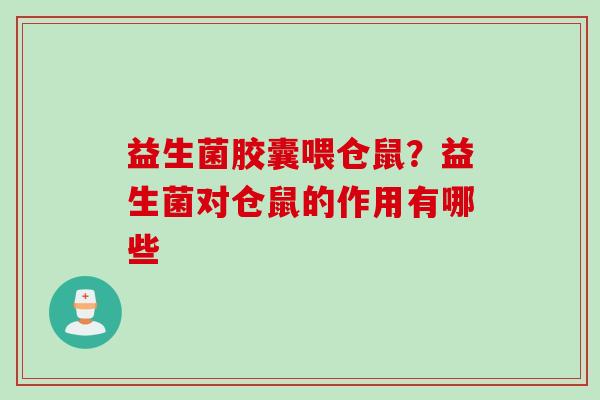 益生菌胶囊喂仓鼠？益生菌对仓鼠的作用有哪些