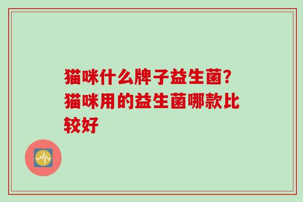 猫咪什么牌子益生菌？猫咪用的益生菌哪款比较好
