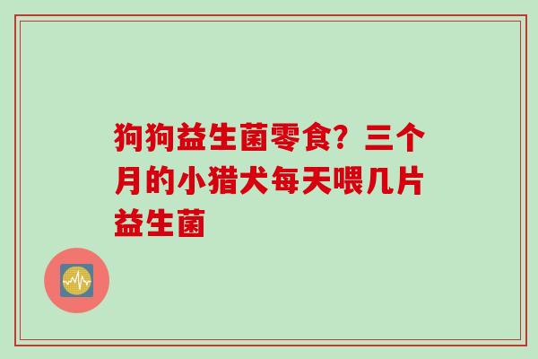 狗狗益生菌零食?三个月的小猎犬每天喂几片益生菌 狗狗益生菌零食?三个月的小猎犬每天喂几片益生菌