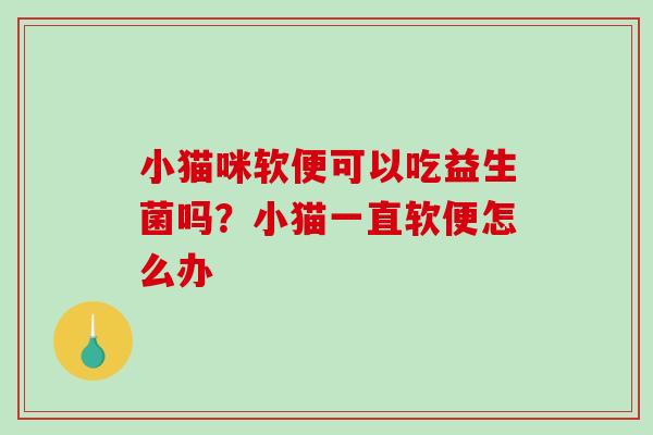 小猫咪软便可以吃益生菌吗？小猫一直软便怎么办