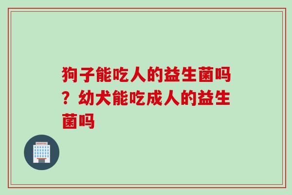 狗子能吃人的益生菌吗？幼犬能吃成人的益生菌吗