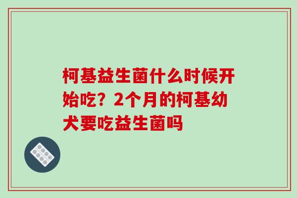 柯基益生菌什么时候开始吃？2个月的柯基幼犬要吃益生菌吗