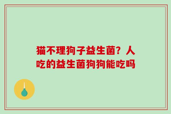 猫不理狗子益生菌？人吃的益生菌狗狗能吃吗