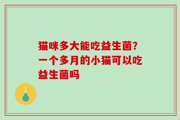 猫咪多大能吃益生菌？一个多月的小猫可以吃益生菌吗