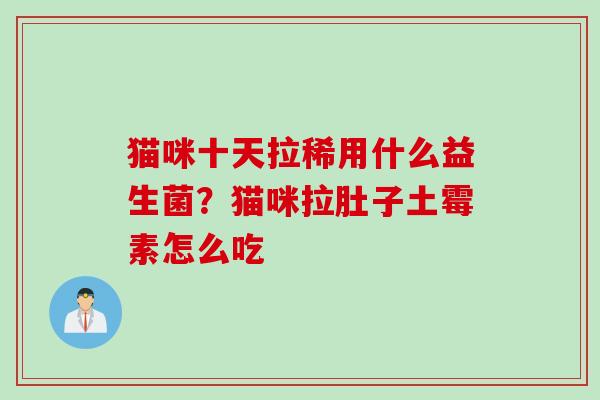 猫咪十天拉稀用什么益生菌？猫咪拉肚子土霉素怎么吃