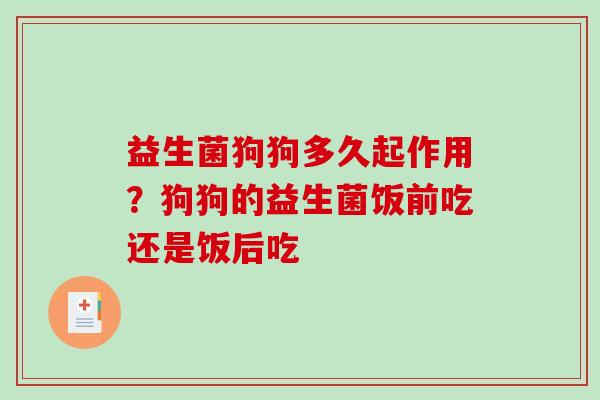 益生菌狗狗多久起作用？狗狗的益生菌饭前吃还是饭后吃