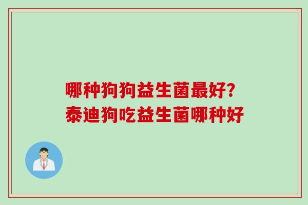 哪种狗狗益生菌最好？泰迪狗吃益生菌哪种好