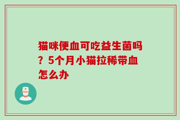 猫咪便血可吃益生菌吗？5个月小猫拉稀带血怎么办