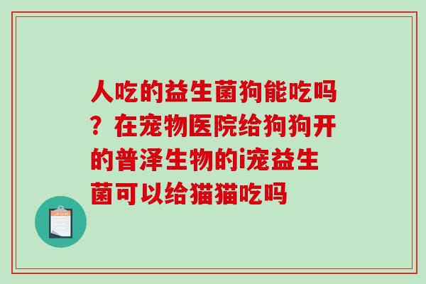 人吃的益生菌狗能吃吗？在宠物医院给狗狗开的普泽生物的i宠益生菌可以给猫猫吃吗