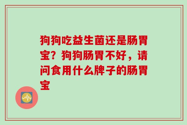 狗狗吃益生菌还是肠胃宝？狗狗肠胃不好，请问食用什么牌子的肠胃宝