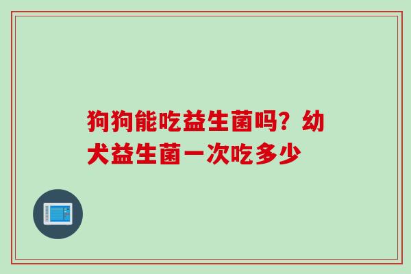 狗狗能吃益生菌吗？幼犬益生菌一次吃多少