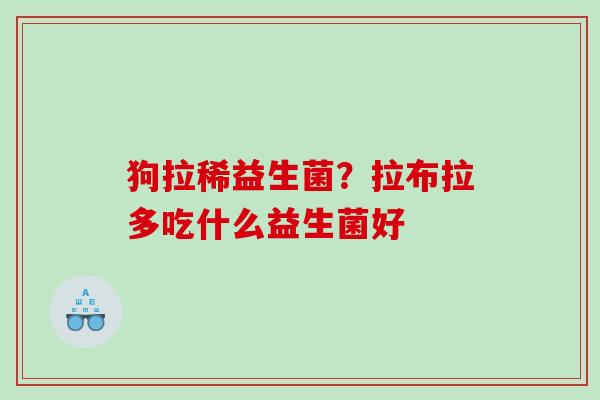 狗拉稀益生菌？拉布拉多吃什么益生菌好