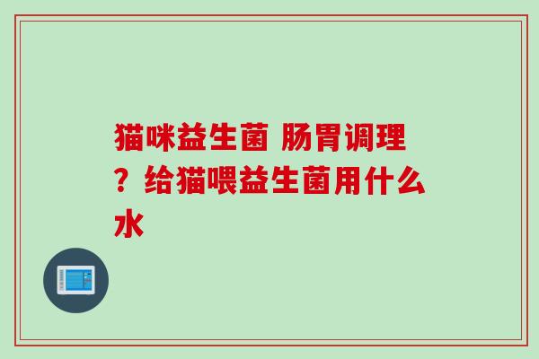 猫咪益生菌 肠胃调理？给猫喂益生菌用什么水