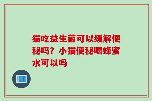 猫吃益生菌可以缓解便秘吗？小猫便秘喝蜂蜜水可以吗