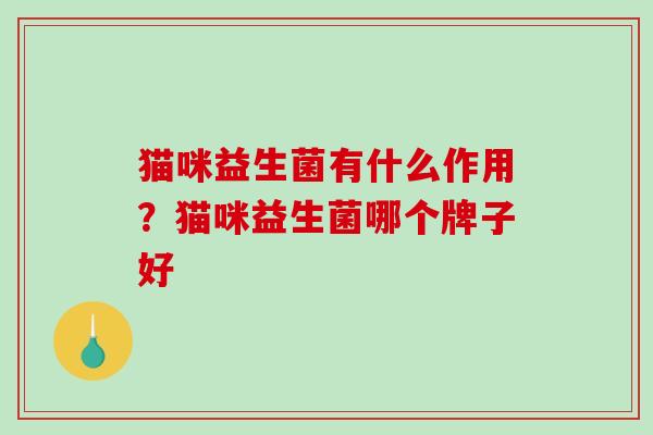 猫咪益生菌有什么作用？猫咪益生菌哪个牌子好