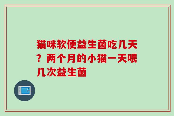 猫咪软便益生菌吃几天？两个月的小猫一天喂几次益生菌