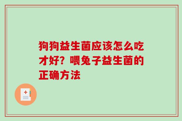 狗狗益生菌应该怎么吃才好？喂兔子益生菌的正确方法