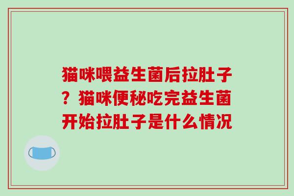 猫咪喂益生菌后拉肚子？猫咪吃完益生菌开始拉肚子是什么情况