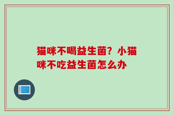 猫咪不喝益生菌?小猫咪不吃益生菌怎么办 猫咪不喝益生菌?小猫咪不吃益生菌怎么办