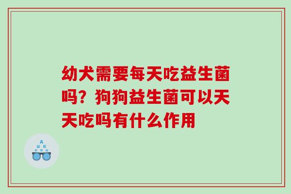 幼犬需要每天吃益生菌吗？狗狗益生菌可以天天吃吗有什么作用