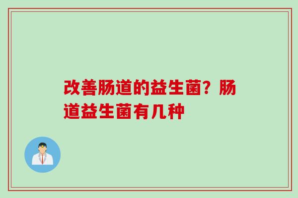 改善肠道的益生菌？肠道益生菌有几种