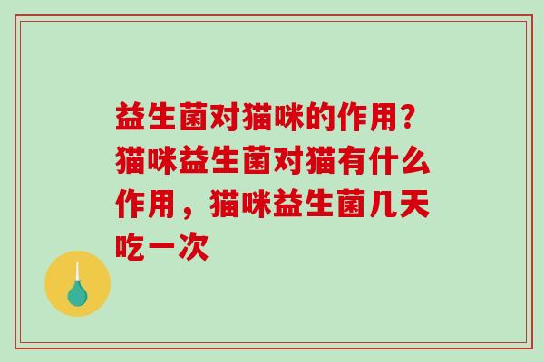益生菌对猫咪的作用？猫咪益生菌对猫有什么作用，猫咪益生菌几天吃一次