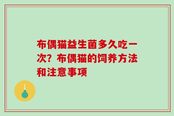 布偶猫益生菌多久吃一次？布偶猫的饲养方法和注意事项