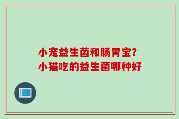小宠益生菌和肠胃宝?小猫吃的益生菌哪种好 小宠益生菌和肠胃宝?小猫吃的益生菌哪种好