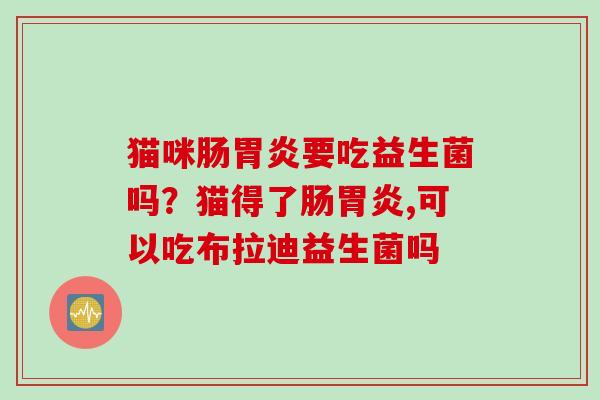 猫咪肠胃炎要吃益生菌吗？猫得了肠胃炎,可以吃布拉迪益生菌吗