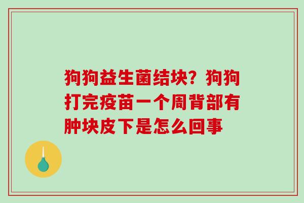 狗狗益生菌结块？狗狗打完疫苗一个周背部有肿块皮下是怎么回事