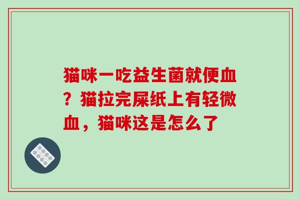 猫咪一吃益生菌就便血？猫拉完屎纸上有轻微血，猫咪这是怎么了