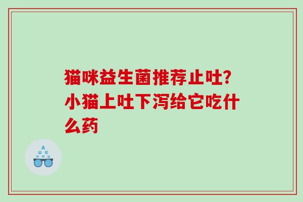 猫咪益生菌推荐止吐？小猫上吐下泻给它吃什么药