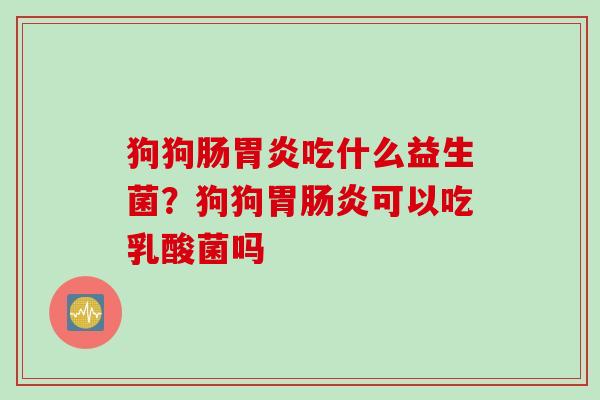 狗狗肠胃炎吃什么益生菌？狗狗胃肠炎可以吃乳酸菌吗