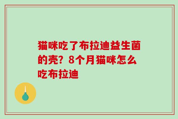 猫咪吃了布拉迪益生菌的壳？8个月猫咪怎么吃布拉迪