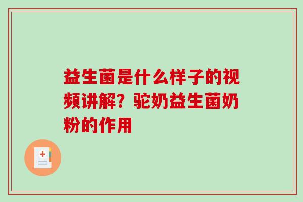 益生菌是什么样子的视频讲解？驼奶益生菌奶粉的作用