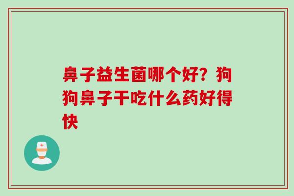 鼻子益生菌哪个好？狗狗鼻子干吃什么药好得快