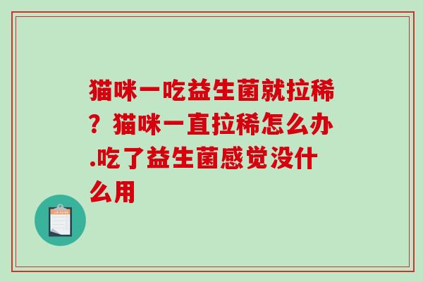 猫咪一吃益生菌就拉稀？猫咪一直拉稀怎么办.吃了益生菌感觉没什么用