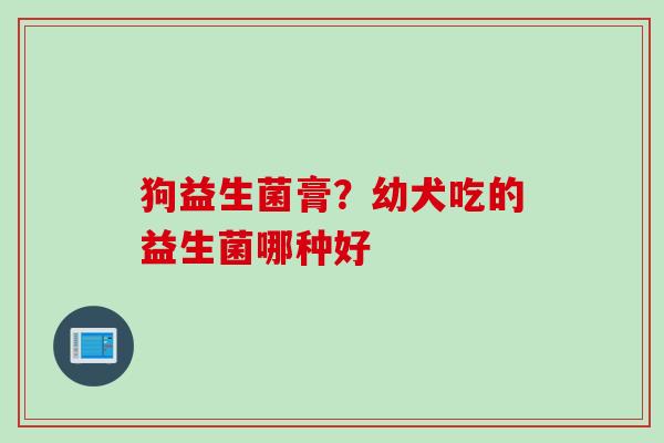 狗益生菌膏？幼犬吃的益生菌哪种好