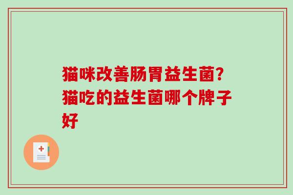 猫咪改善肠胃益生菌？猫吃的益生菌哪个牌子好