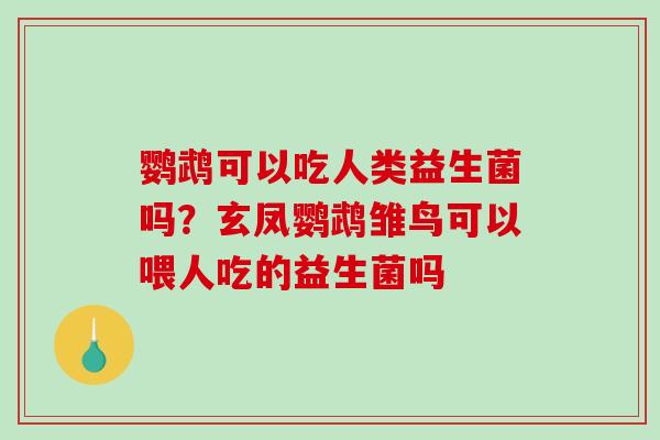 鹦鹉可以吃人类益生菌吗？玄凤鹦鹉雏鸟可以喂人吃的益生菌吗
