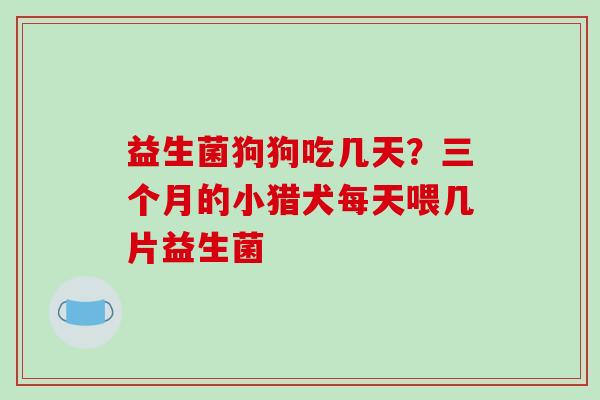益生菌狗狗吃几天？三个月的小猎犬每天喂几片益生菌