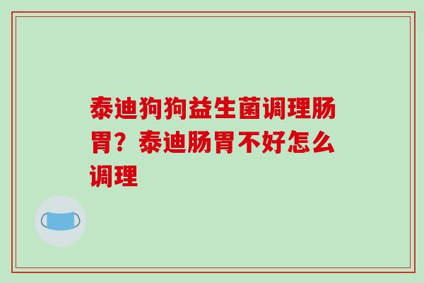 泰迪狗狗益生菌调理肠胃？泰迪肠胃不好怎么调理